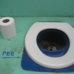 Sit down urinal.