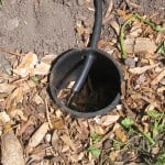 Irrigating plants with greywater